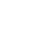 wordpress-image
